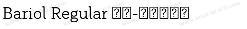Bariol Regular 常规字体转换